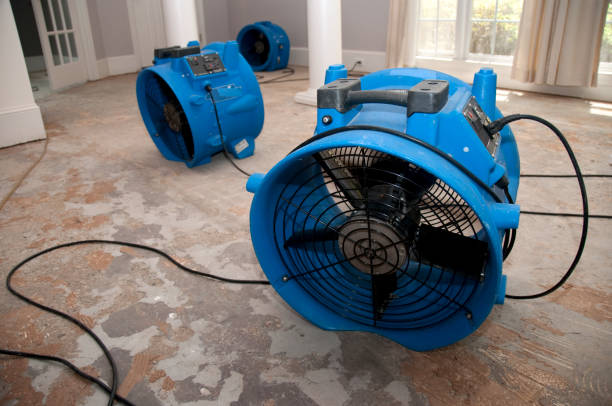 Best 24-hour water damage restoration  in Walkersville, MD